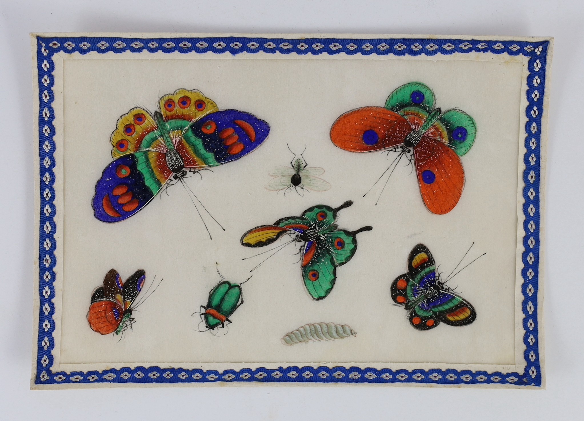 A set of twelve Chinese pith paintings of butterflies and insects, mid 19th century, total size 18cm x 12.2cm, small holes to paper